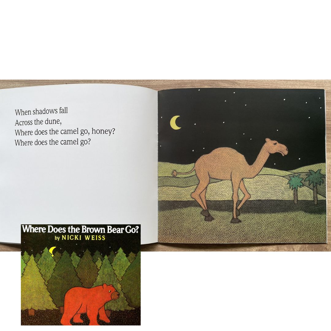 Where Does the Brown Bear Go? (brand new softcover)