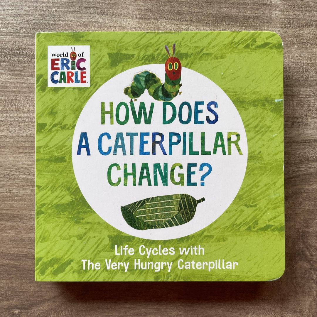 World of Eric Carle: Life Cycles with The Very Hungry Caterpillar (SINGLES, brand new Board Book, with SLIGHT DENTS on book cover) (How Does a Caterpillar Change / How Does an Egg Hatch / How Does a Tadpole Grow / How Does a Seed Sprout)