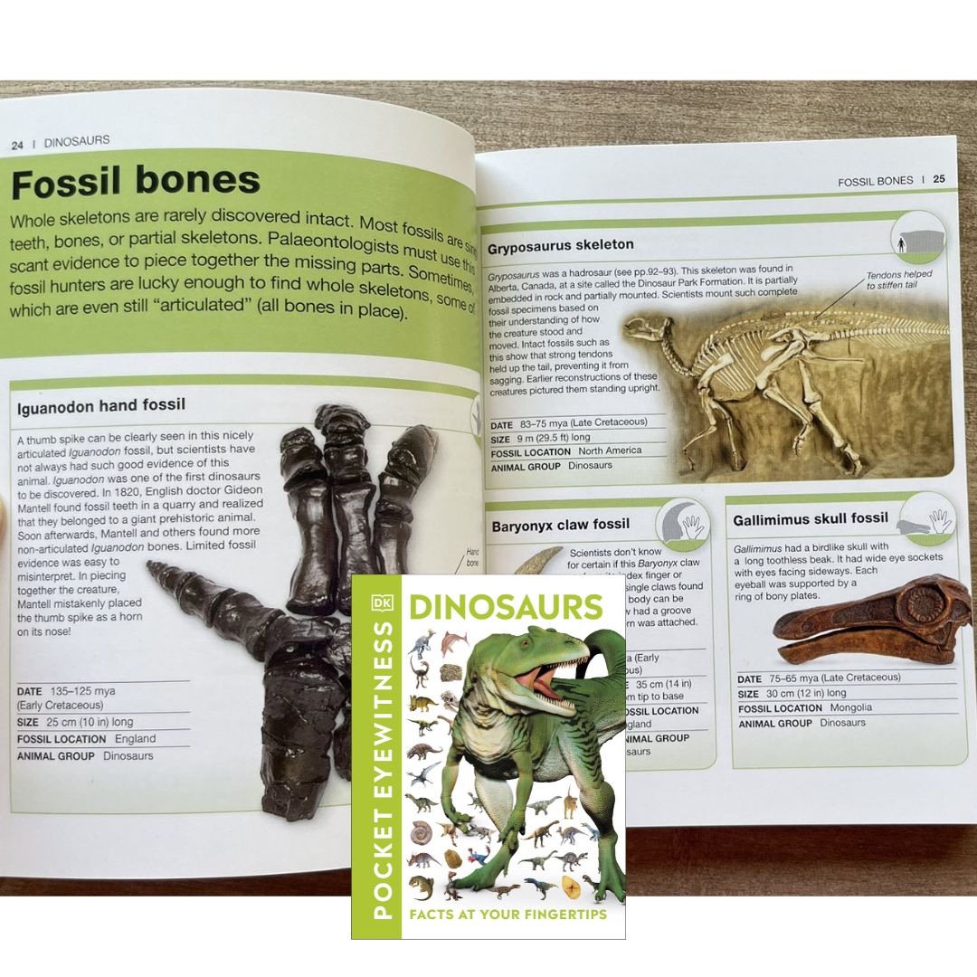 DK MINI Pocket Eyewitness: DINOSAURS (DK Facts at Your Fingertips) - brand new Paperback