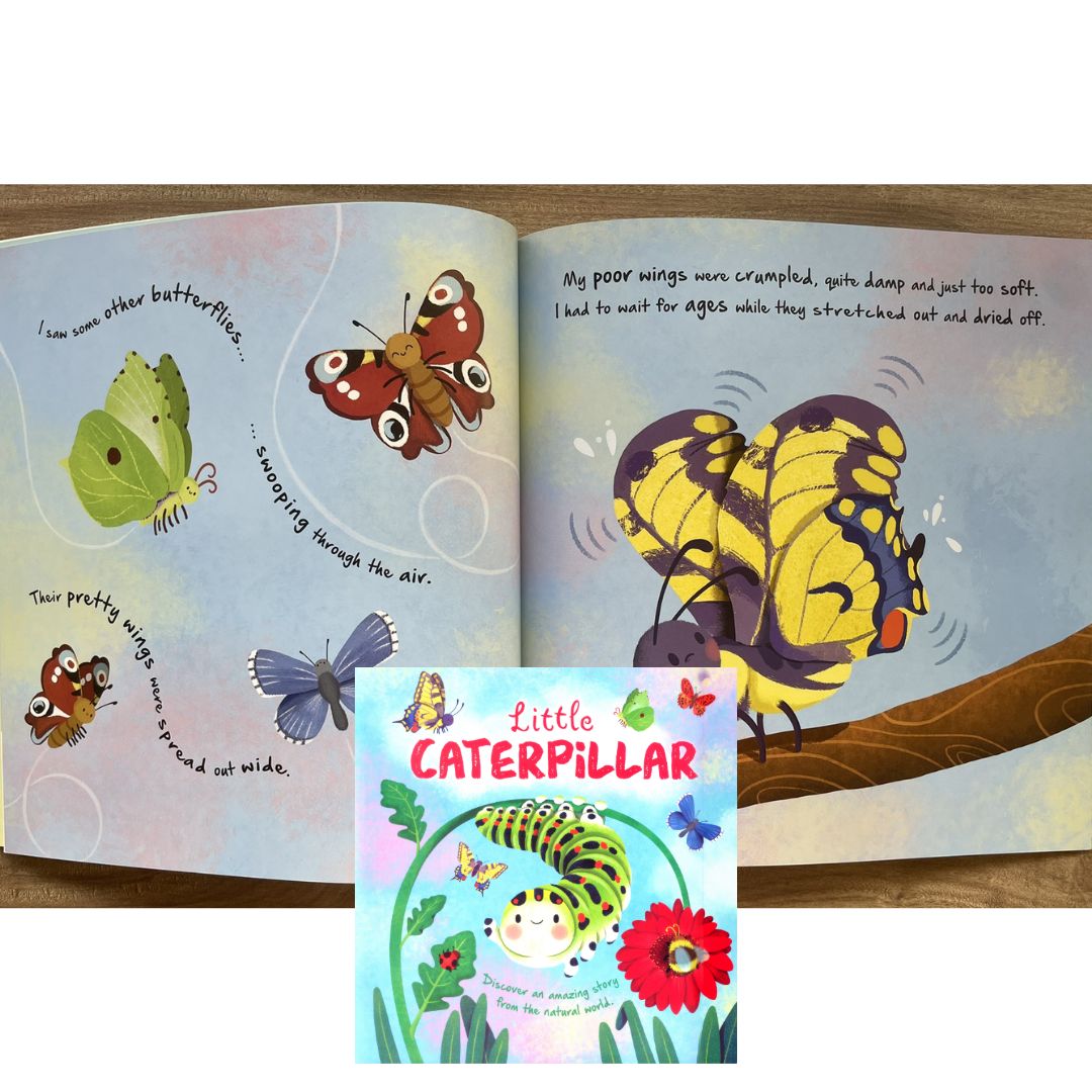 Storybooks Picture Flats (SINGLES, brand new SOFTCOVER) (Stories about Caterpillar, Raindrop, Rain, Snow, Snowflake, Love, Dinosaurs)
