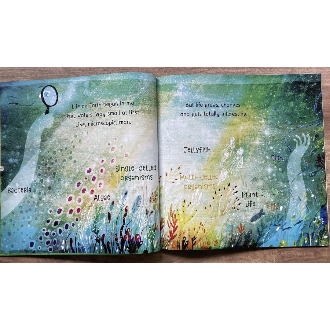 Sun / Earth / Moon / Ocean / Mars / Our Planet (OUR UNIVERSE by Stacy Mcanulty) SINGLES, brand new softcover