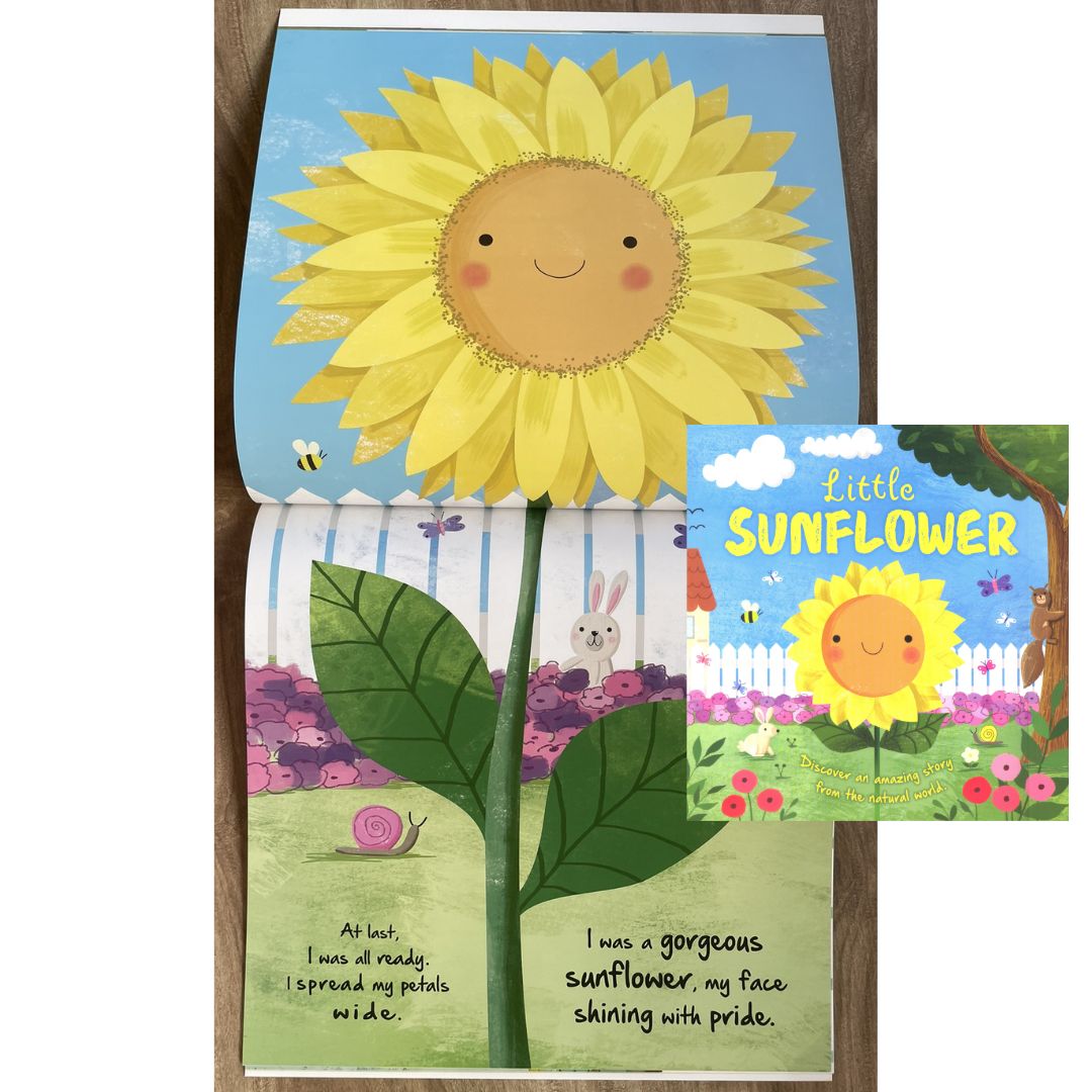 Storybooks Picture Flats (SINGLES, brand new SOFTCOVER) (Stories about Caterpillar, Raindrop, Rain, Snow, Snowflake, Love, Dinosaurs)