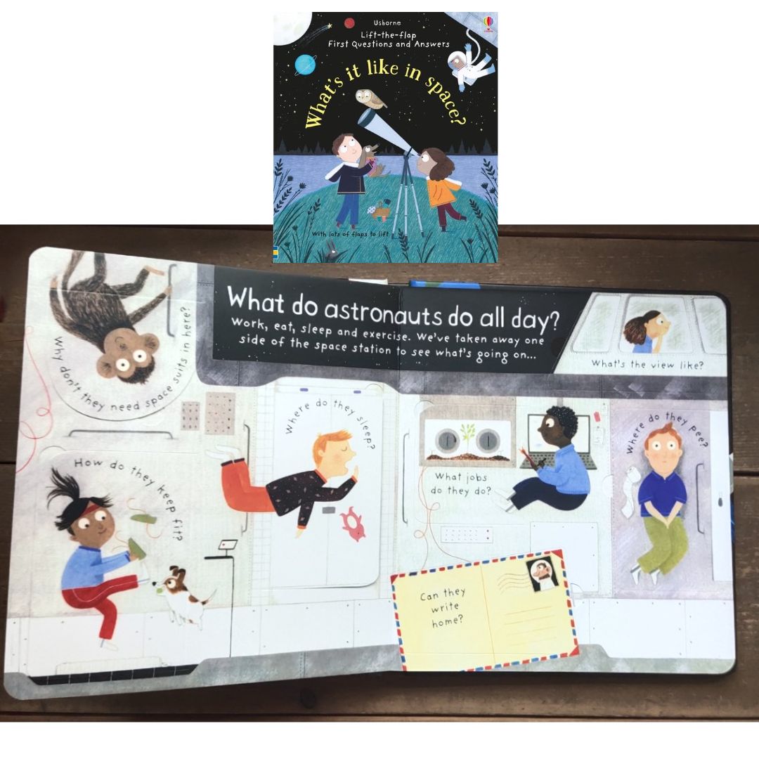 Usborne WHAT IS IT LIKE IN SPACE? (Lift-the-flap First Questions and Answers) BOARD BOOK