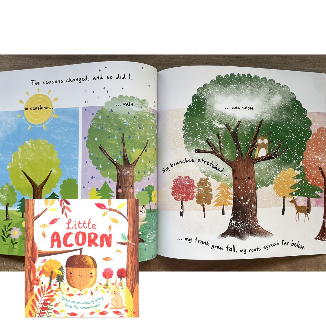 Storybooks Picture Flats (SINGLES, brand new SOFTCOVER) (Stories about Caterpillar, Raindrop, Rain, Snow, Snowflake, Love, Dinosaurs)