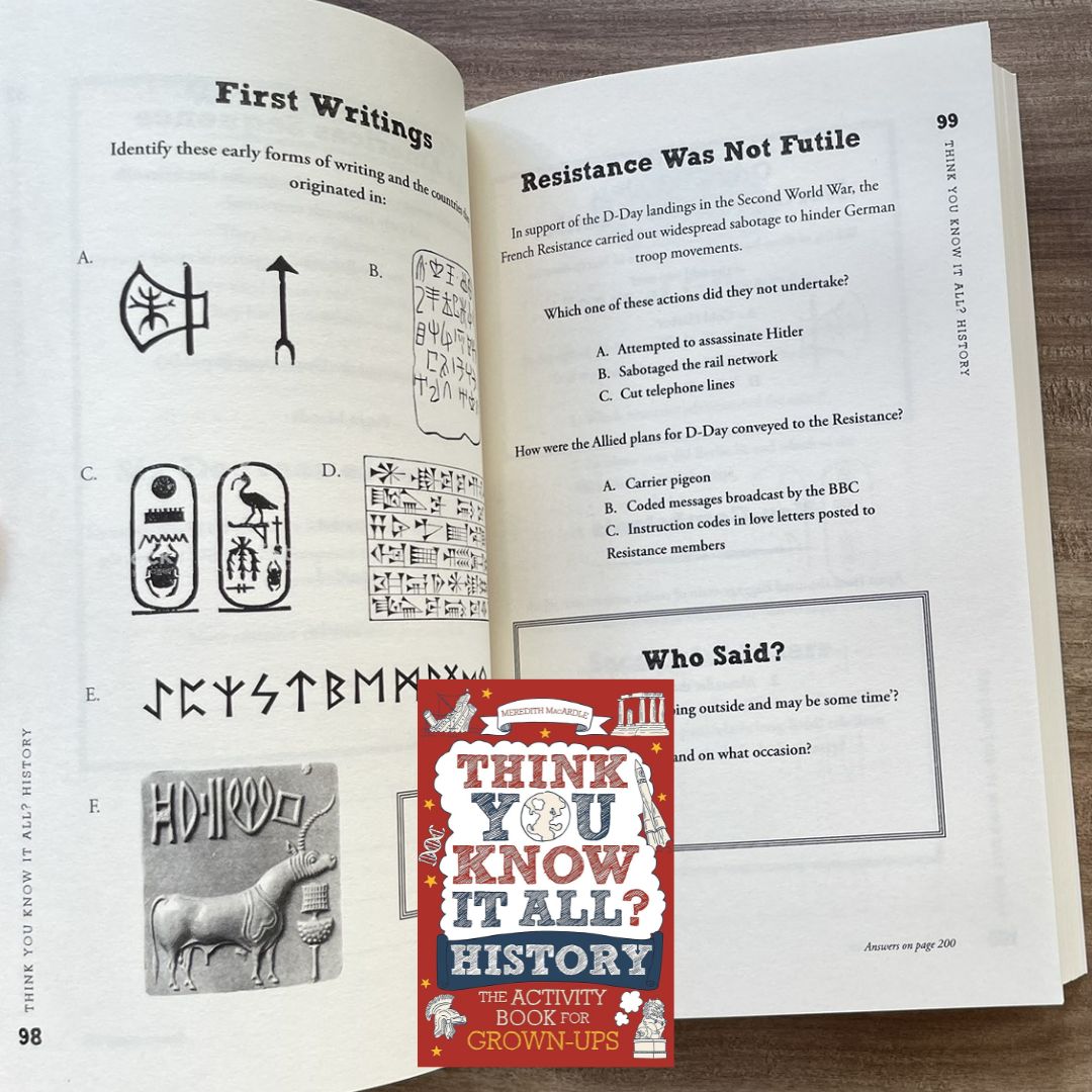 Think You Know It All? History: The Activity Book for Grown-Ups (brand new softcover)