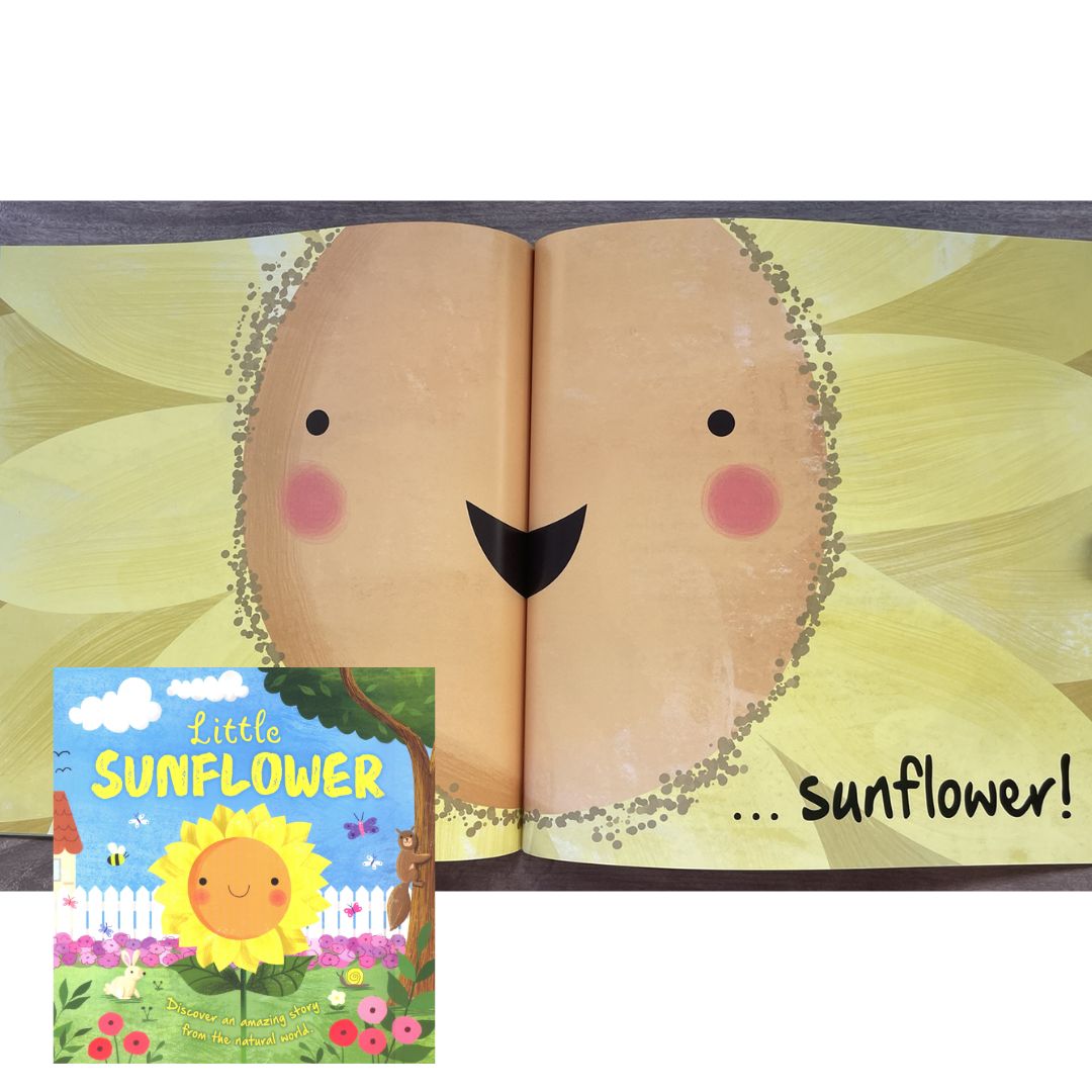 Storybooks Picture Flats (SINGLES, brand new SOFTCOVER) (Stories about Caterpillar, Raindrop, Rain, Snow, Snowflake, Love, Dinosaurs)