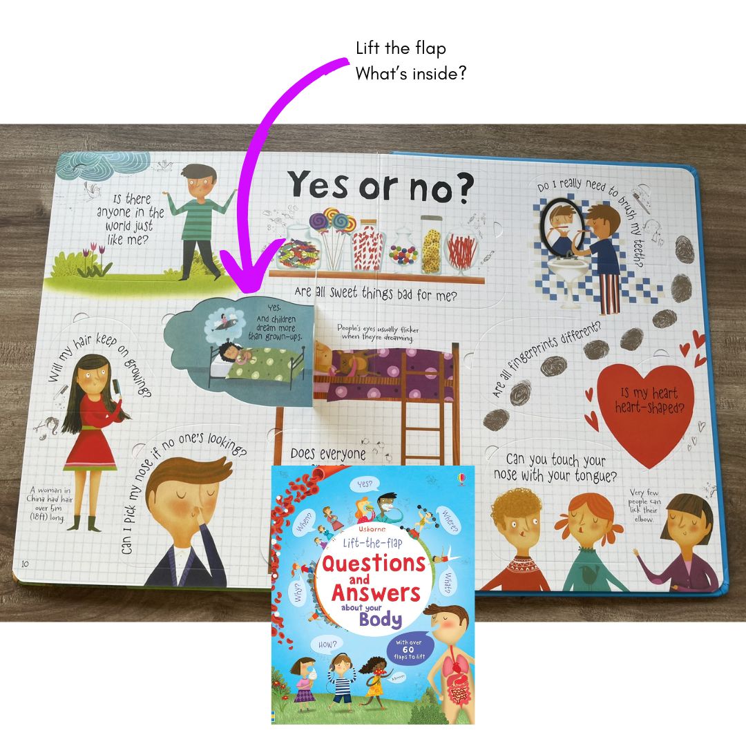 Usborne Lift-the-flap Questions and Answers About (SINGLES, brand new Board Book, w/ SLIGHT DENTS on book cover) Animals / Body / Feelings / Food / Jobs / Money / Nature
