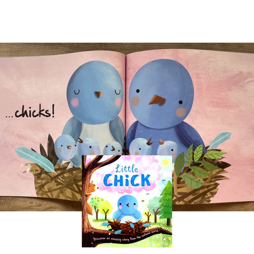 Storybooks Picture Flats (SINGLES, brand new SOFTCOVER) (Stories about Caterpillar, Raindrop, Rain, Snow, Snowflake, Love, Dinosaurs)