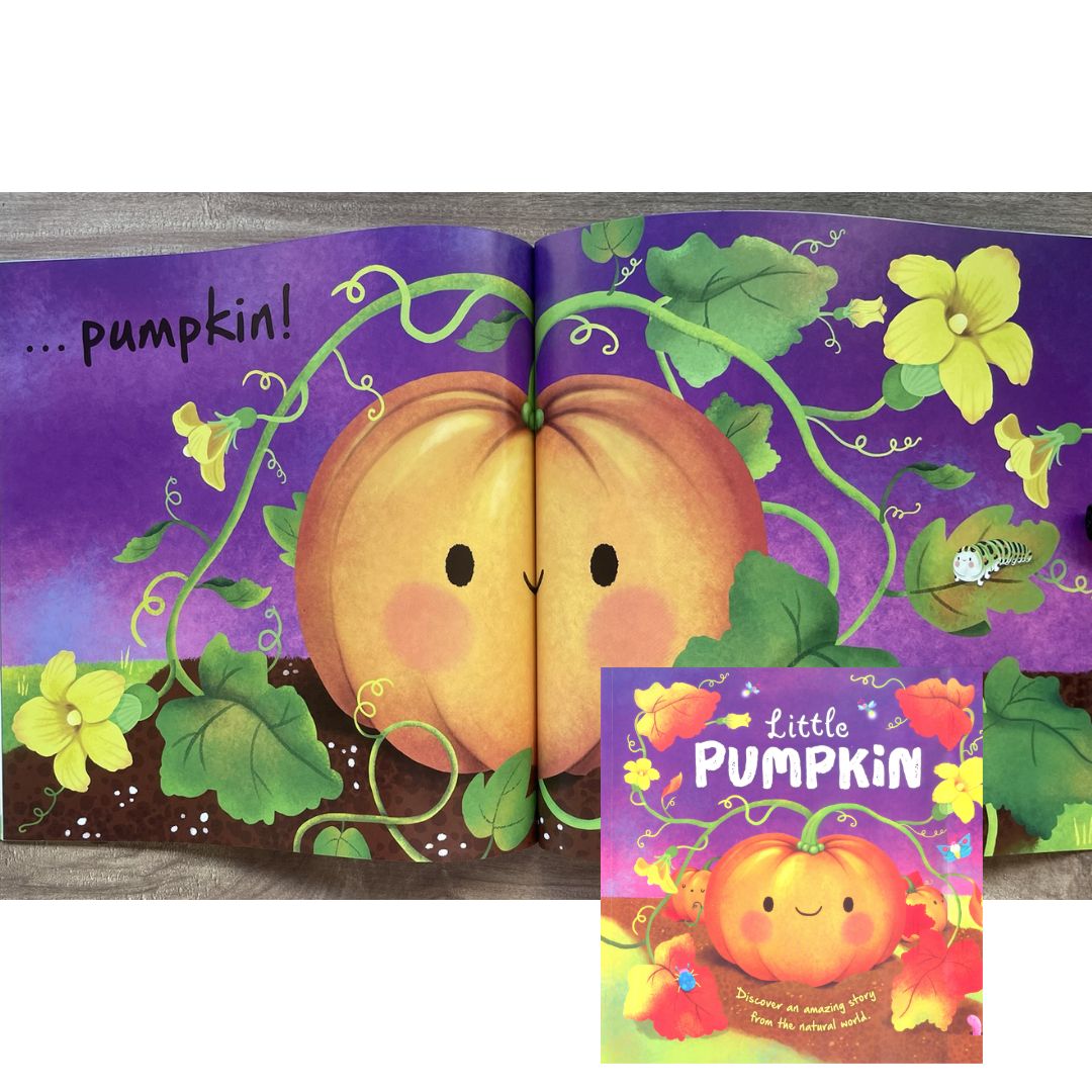 Storybooks Picture Flats (SINGLES, brand new SOFTCOVER) (Stories about Caterpillar, Raindrop, Rain, Snow, Snowflake, Love, Dinosaurs)