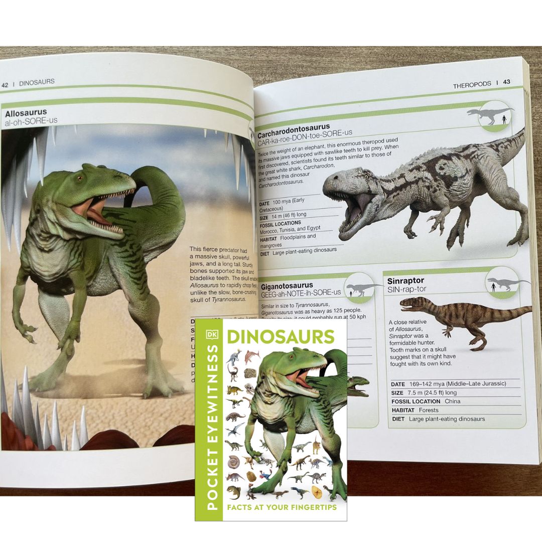DK MINI Pocket Eyewitness: DINOSAURS (DK Facts at Your Fingertips) - brand new Paperback