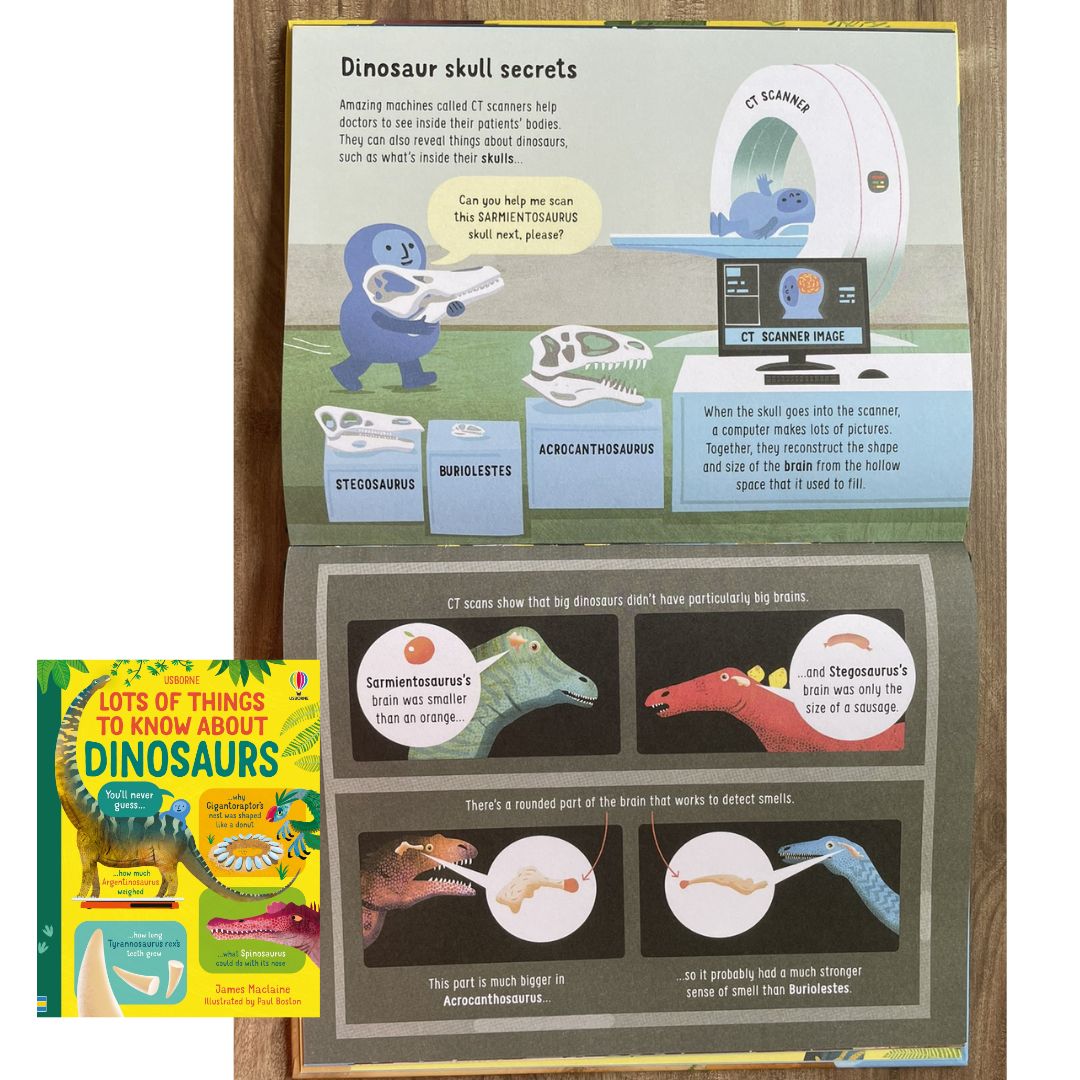 Usborne Lots of Things to Know About DINOSAURS (brand new Hardcover) - with SLIGHT DENTS on book cover