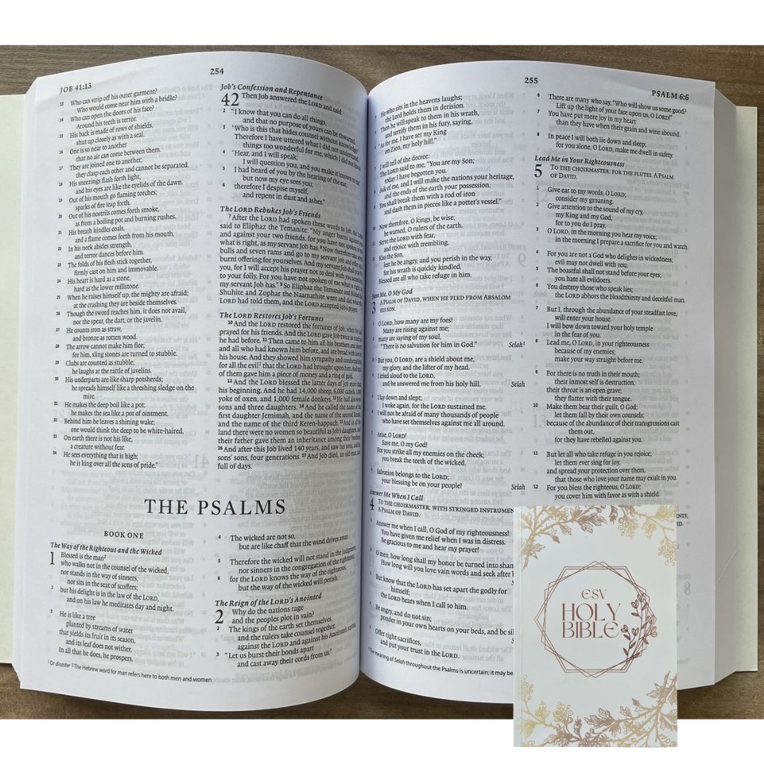 Wedding Bible (English Standard Version / ESV - Old and New Testament) Brand new paperback, 6.25 x 1 x 9 inches