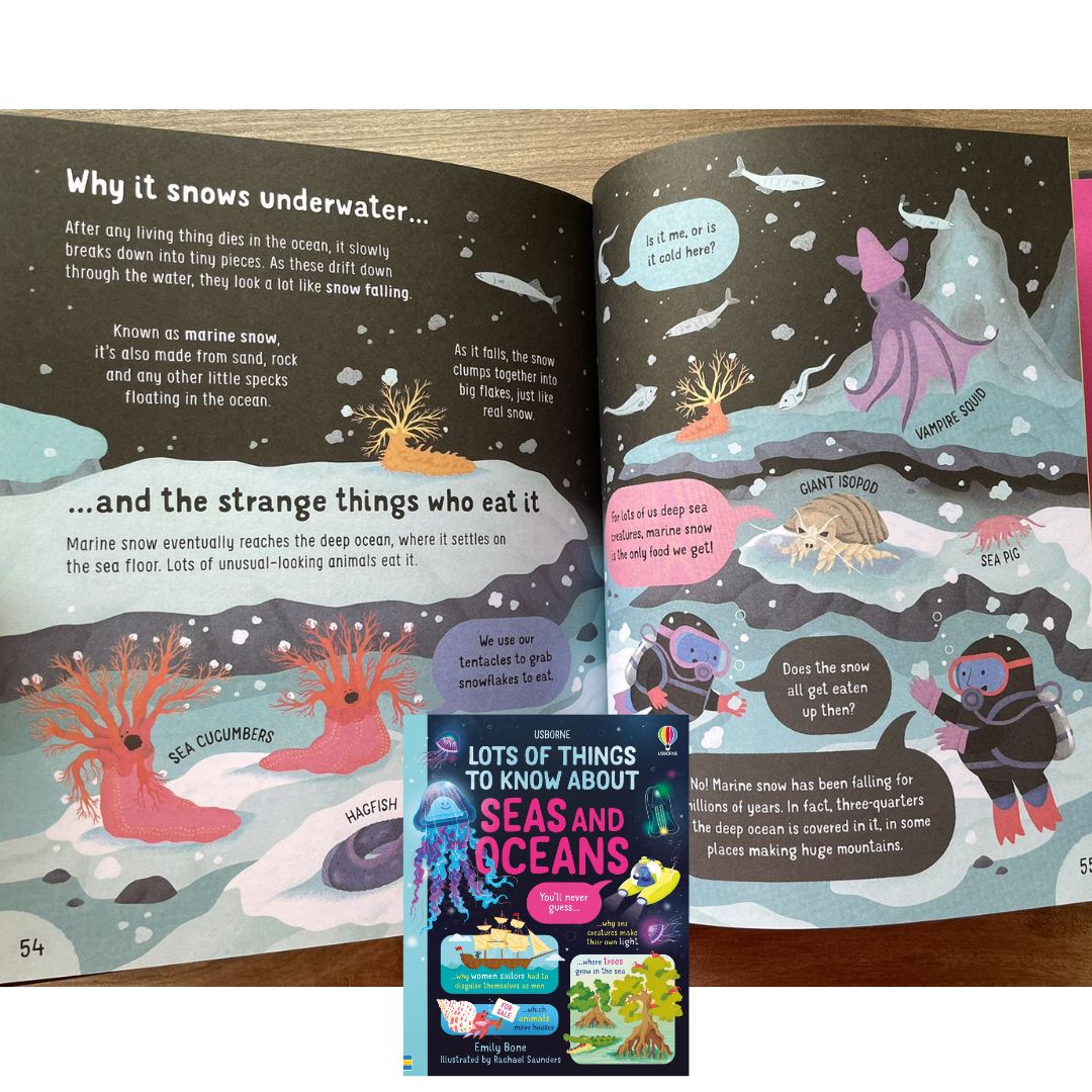 Usborne Lots of Things to Know About SEAS AND OCEANS (brand new Hardcover) - with SLIGHT DENTS on book cover