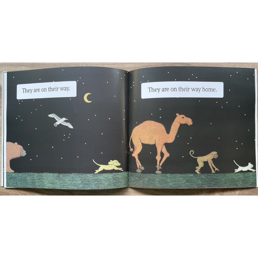 Where Does the Brown Bear Go? (brand new softcover)