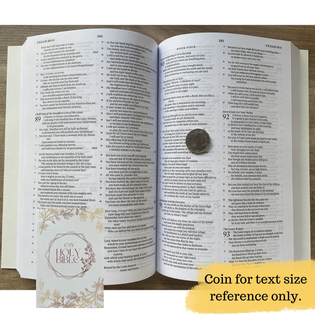 Wedding Bible (English Standard Version / ESV - Old and New Testament) Brand new paperback, 6.25 x 1 x 9 inches