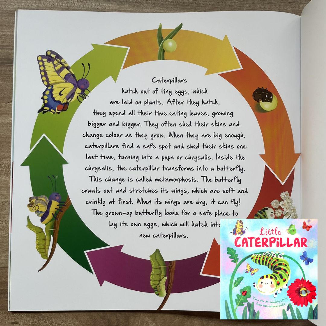 Storybooks Picture Flats (SINGLES, brand new SOFTCOVER) (Stories about Caterpillar, Raindrop, Rain, Snow, Snowflake, Love, Dinosaurs)