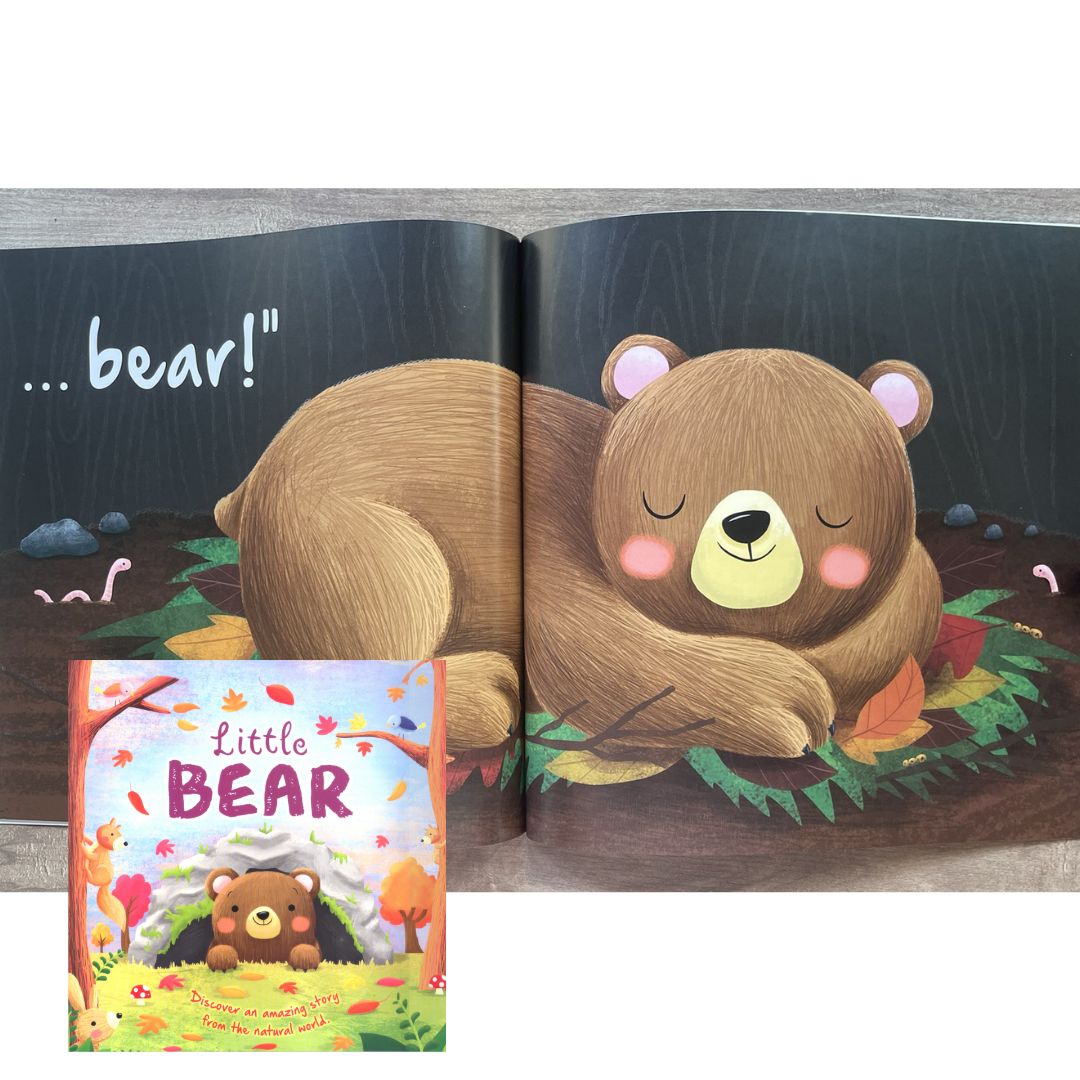 Storybooks Picture Flats (SINGLES, brand new SOFTCOVER) (Stories about Caterpillar, Raindrop, Rain, Snow, Snowflake, Love, Dinosaurs)