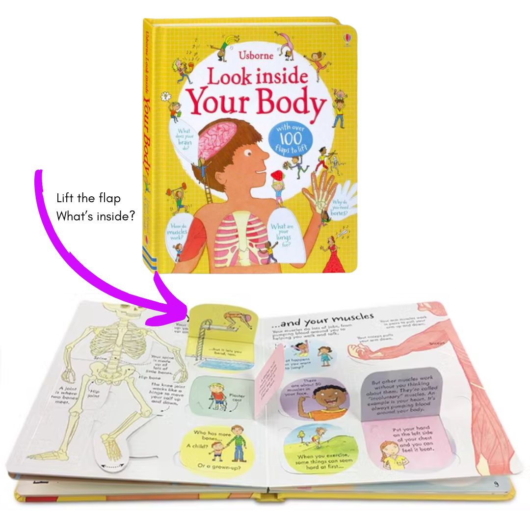Usborne LOOK INSIDE (SINGLES, brand new Lift-the-flap Board book, w/ SLIGHT DENTS on book cover) Animals / Building Sites / Cars / Computers / Hospital / Sports / Things the Go / What Happens When You Eat / Our World / Your Body