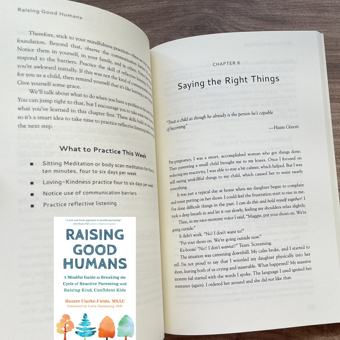 Raising Good Humans (brand new softcover, with SLIGHT DENTS and FOLDS on book cover and pages)