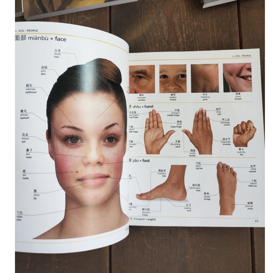 Mandarin Chinese-English Bilingual Visual Dictionary (Paperback) Brand new softcover