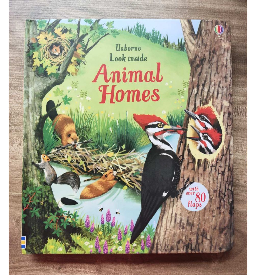 Usborne Look Inside: Animal Homes (Board Book) by Emily Bone