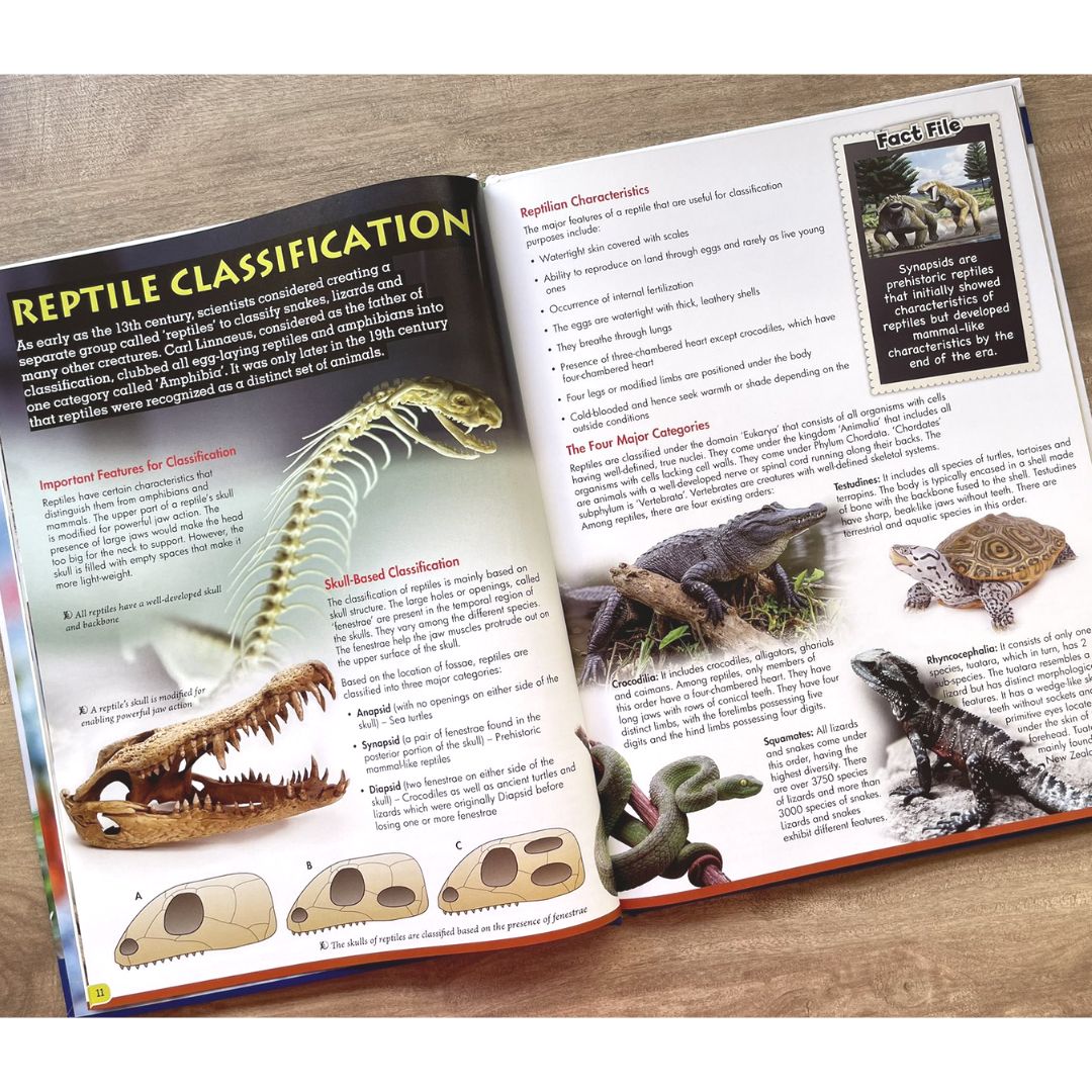 Wonders of Learning (REPTILES)