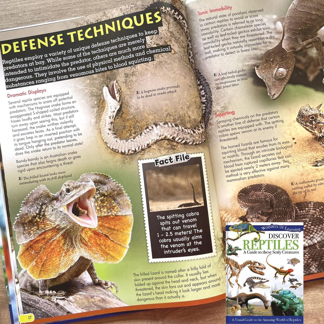 Wonders of Learning (REPTILES)