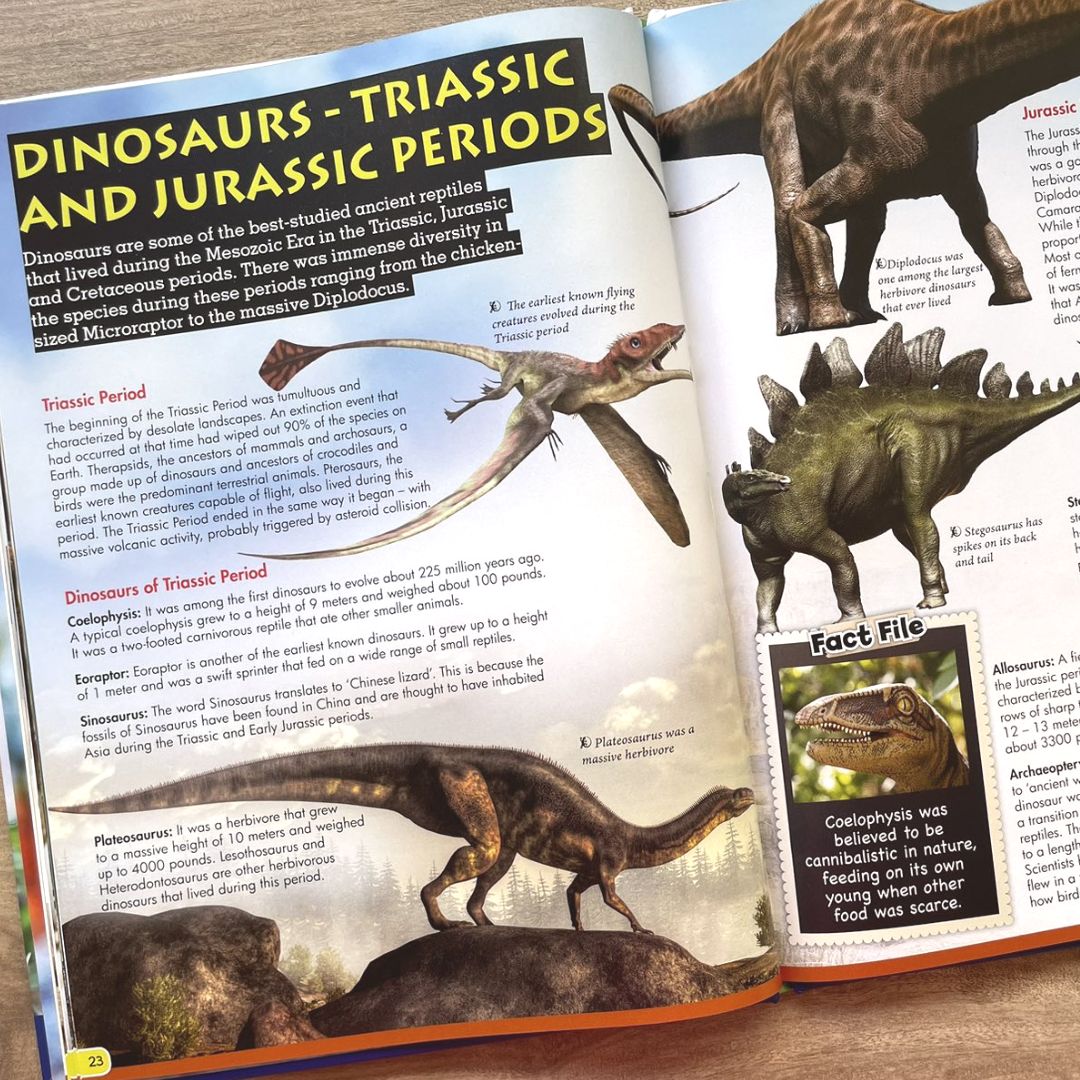 Wonders of Learning (REPTILES)