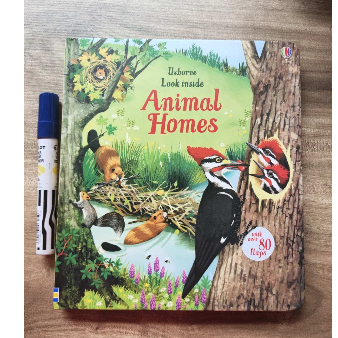 Usborne Look Inside: Animal Homes (Board Book) by Emily Bone