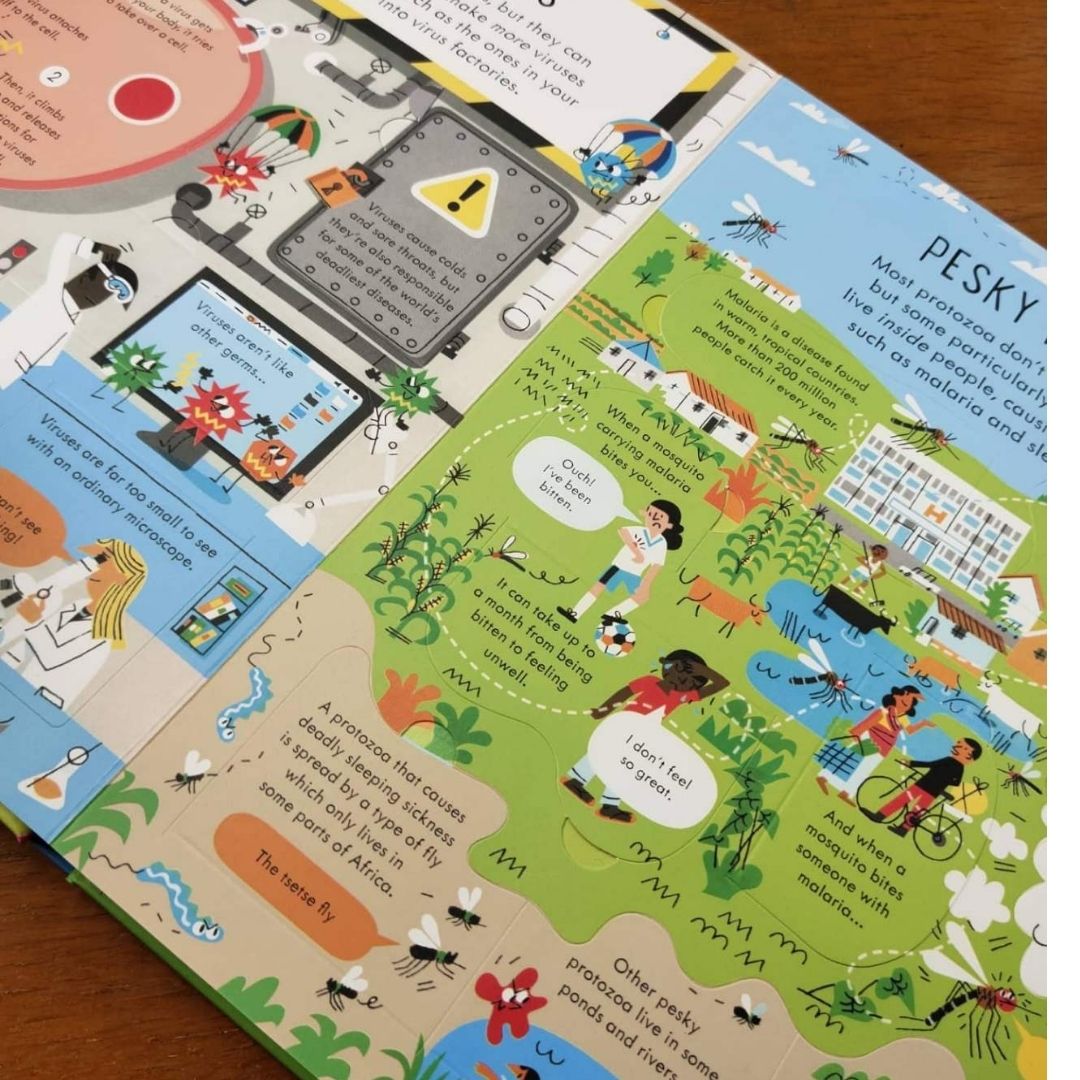 Usborne See Inside Germs (brand new board book)