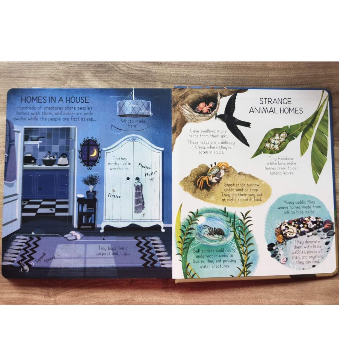 Usborne Look Inside: Animal Homes (Board Book) by Emily Bone