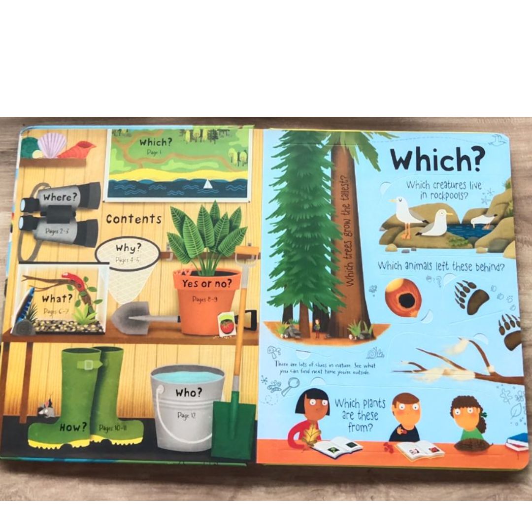 Usborne Questions and Answers About NATURE Lift-the-flap