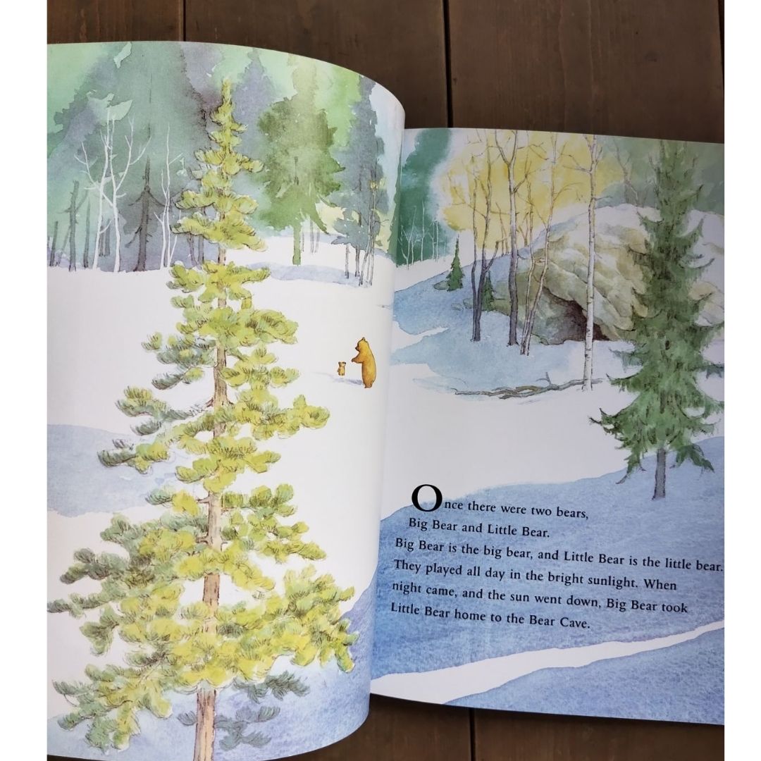 Can't You Sleep, Little Bear? Paperback – Picture Book