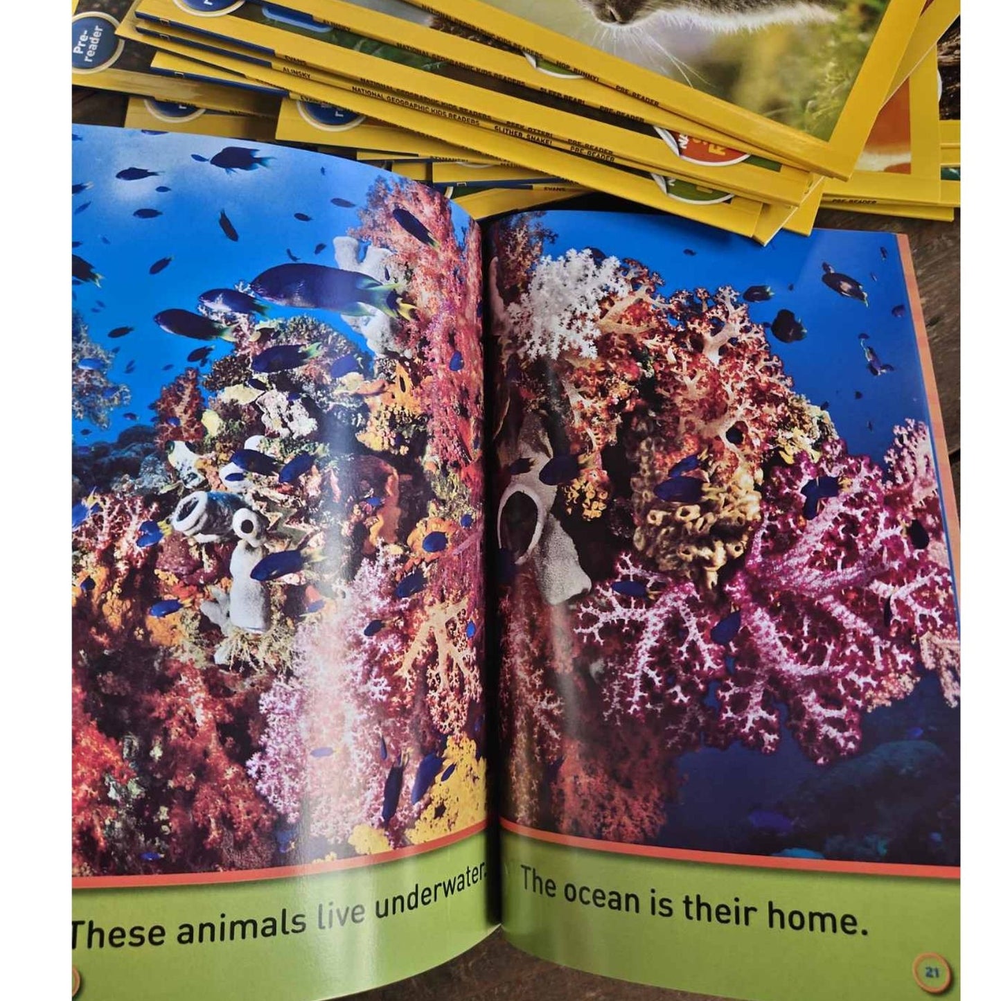 PRE-READER: NATGEO National Geographic Books for Kids (30 books)