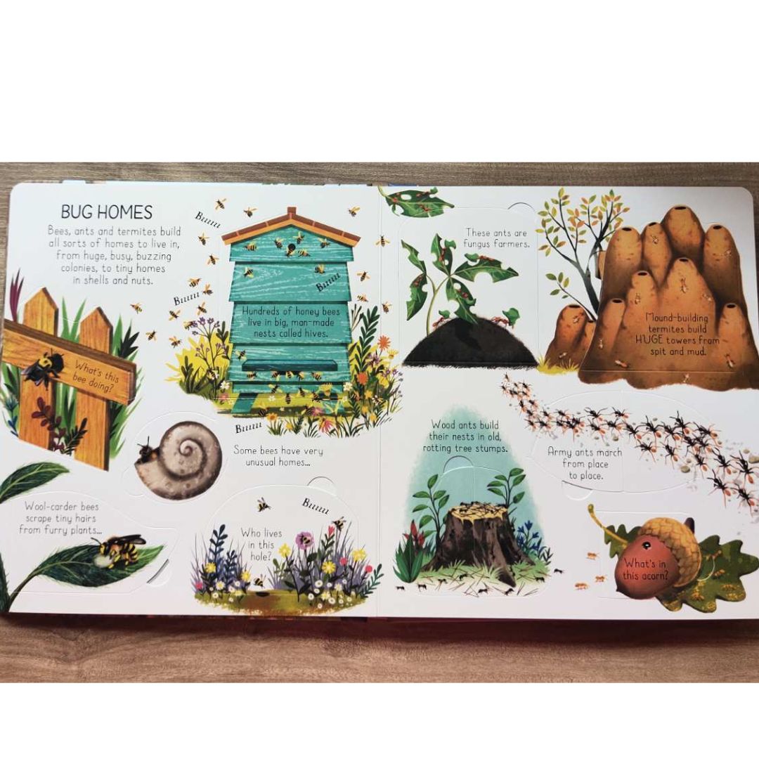 Usborne Look Inside: Animal Homes (Board Book) by Emily Bone