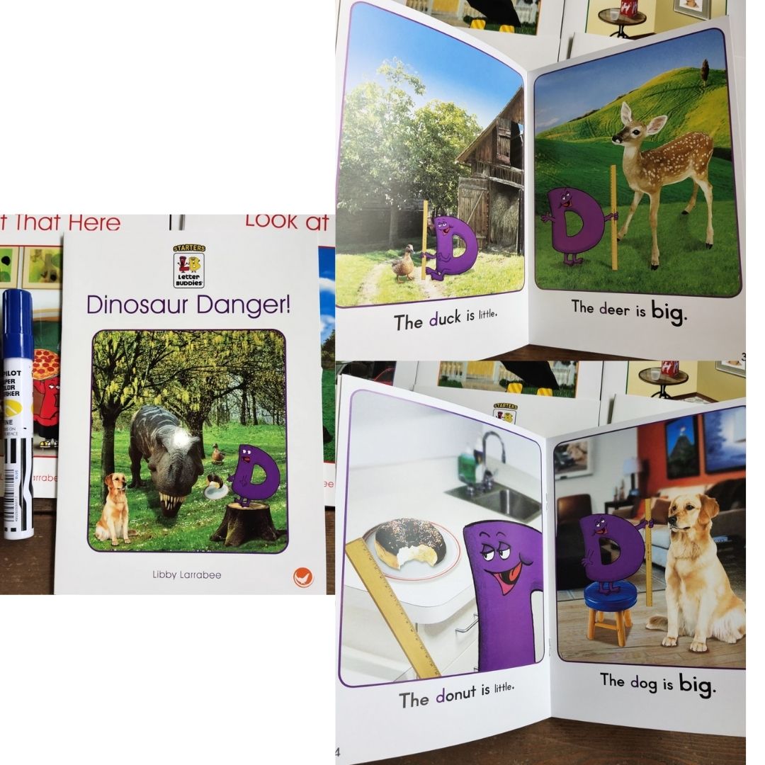 Letter Buddies Letter Sounds (24 books)