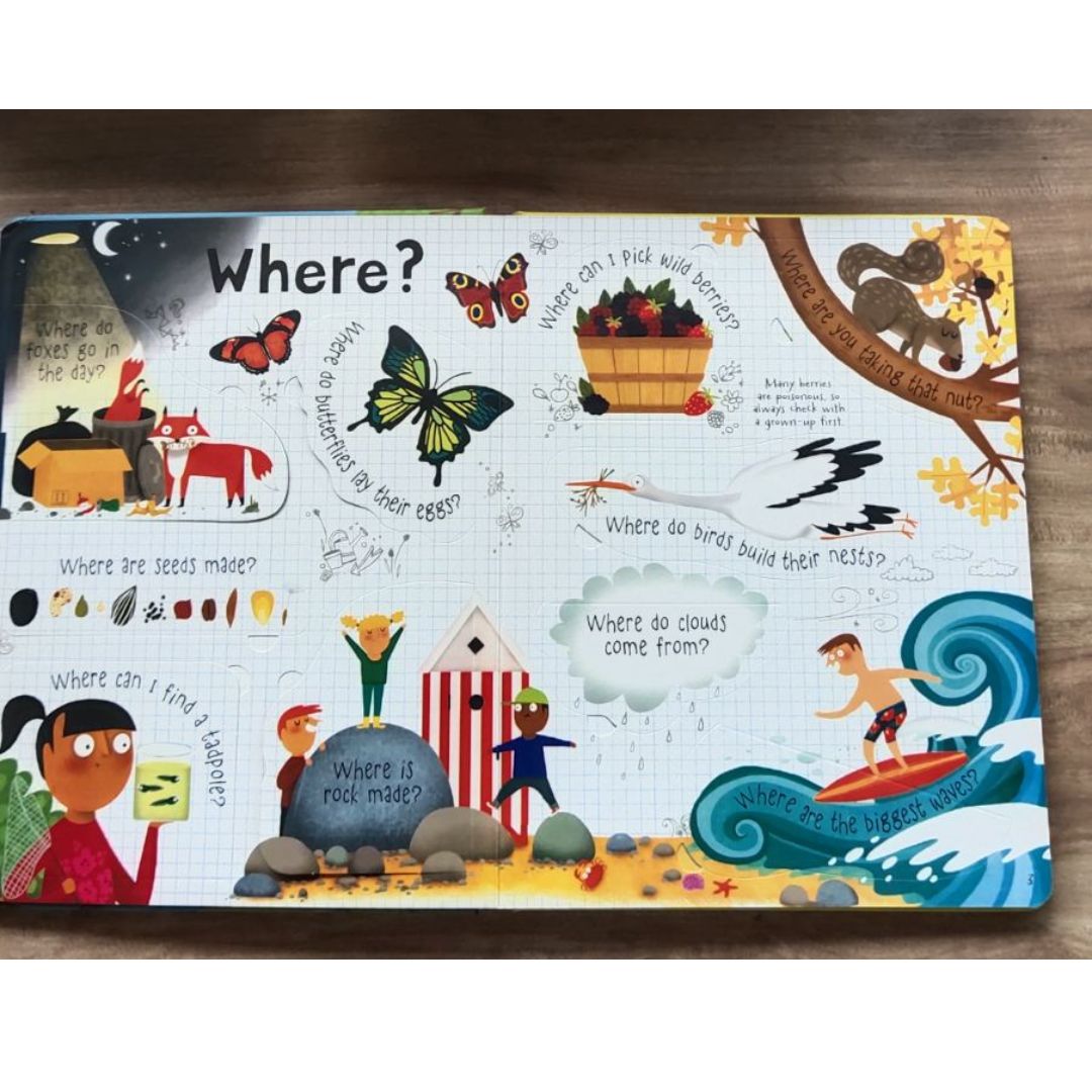 Usborne Questions and Answers About NATURE Lift-the-flap