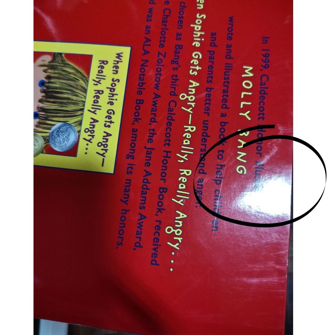 When Sophie's Feelings are Really, Really Hurt (Sophie) by Molly Bang (with dents) hardcover