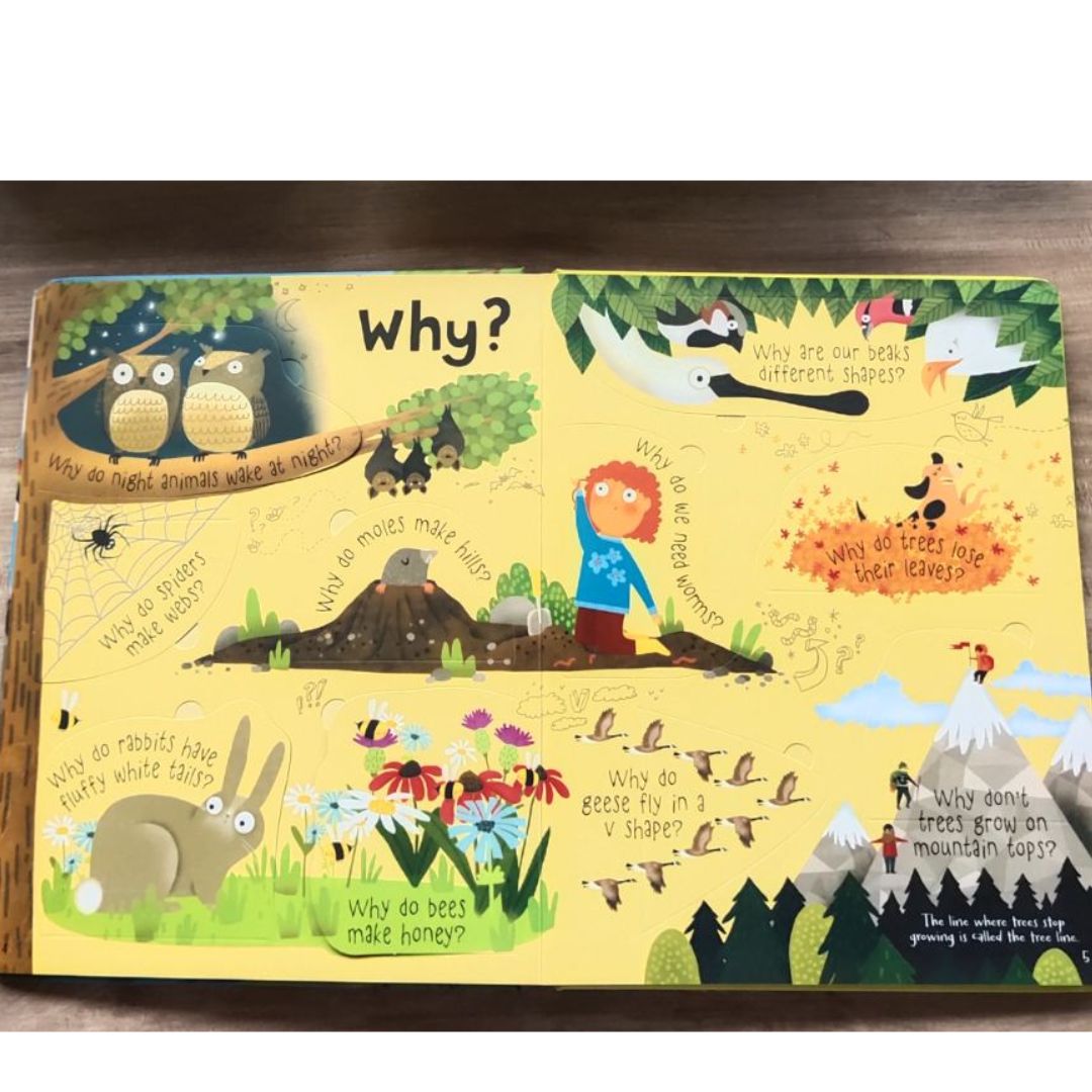Usborne Questions and Answers About NATURE Lift-the-flap