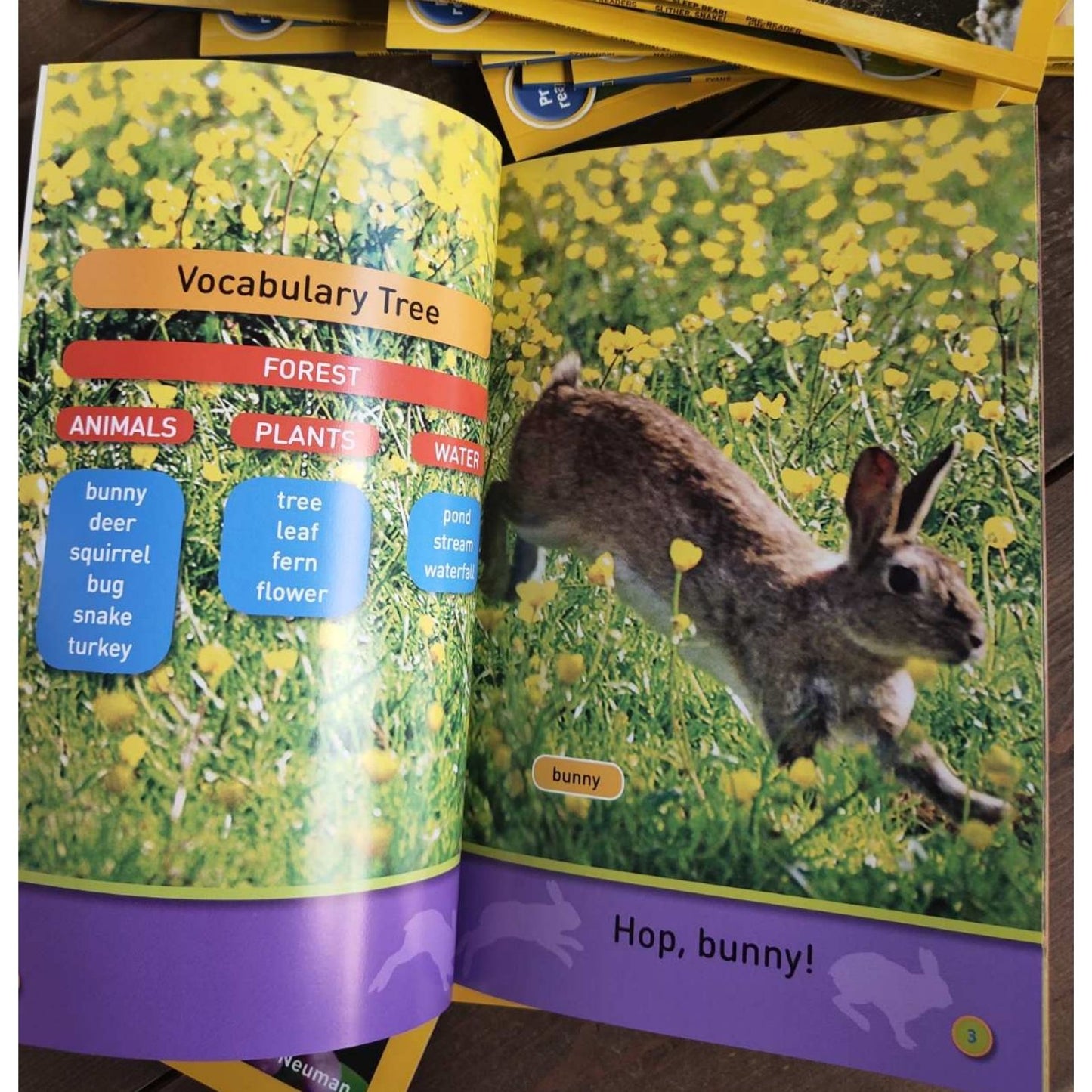 PRE-READER: NATGEO National Geographic Books for Kids (30 books)