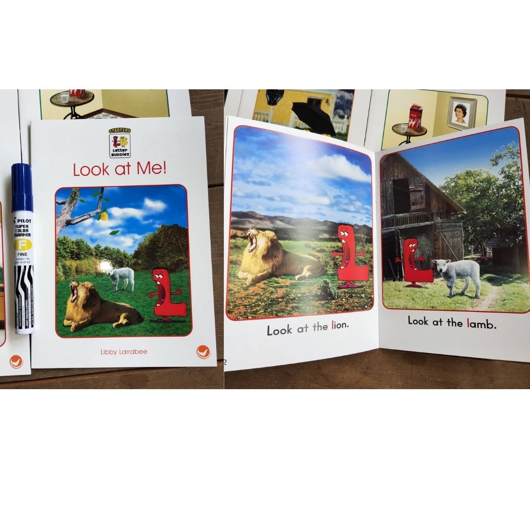Letter Buddies Letter Sounds (24 books)