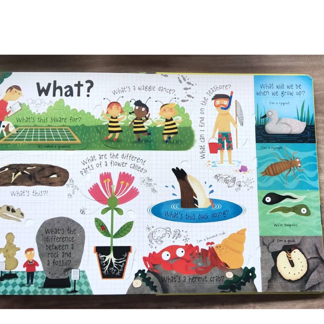 Usborne Questions and Answers About NATURE Lift-the-flap