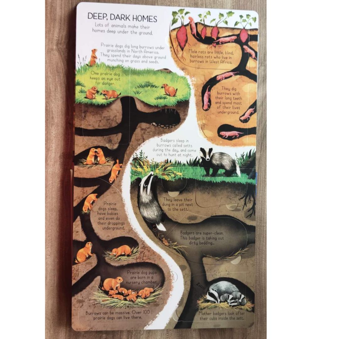 Usborne Look Inside: Animal Homes (Board Book) by Emily Bone