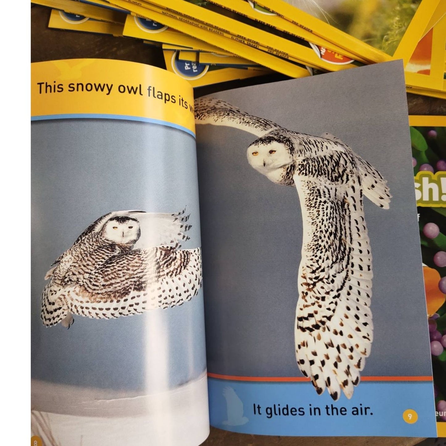 PRE-READER: NATGEO National Geographic Books for Kids (30 books)