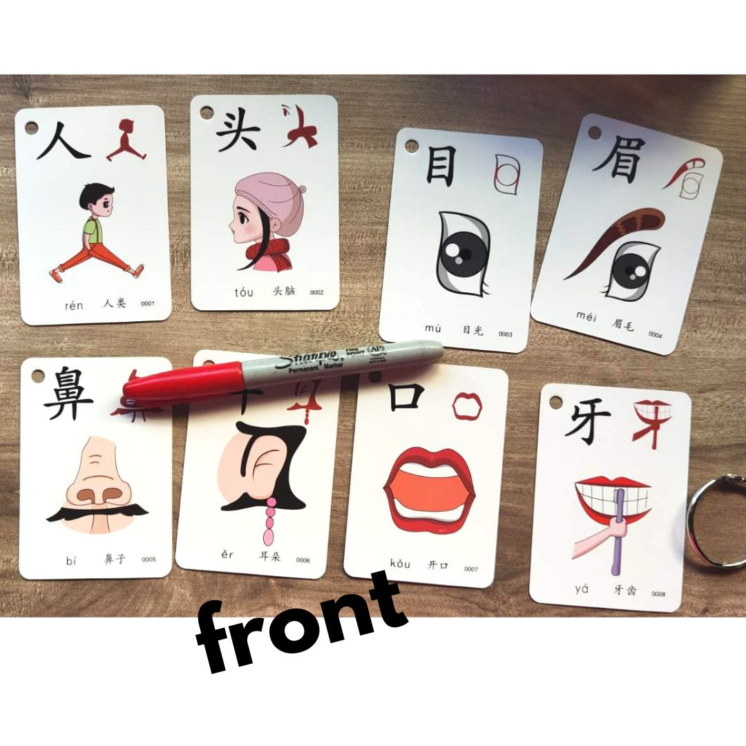 Chinese cards for kids (500 cards) BOX with slight dents