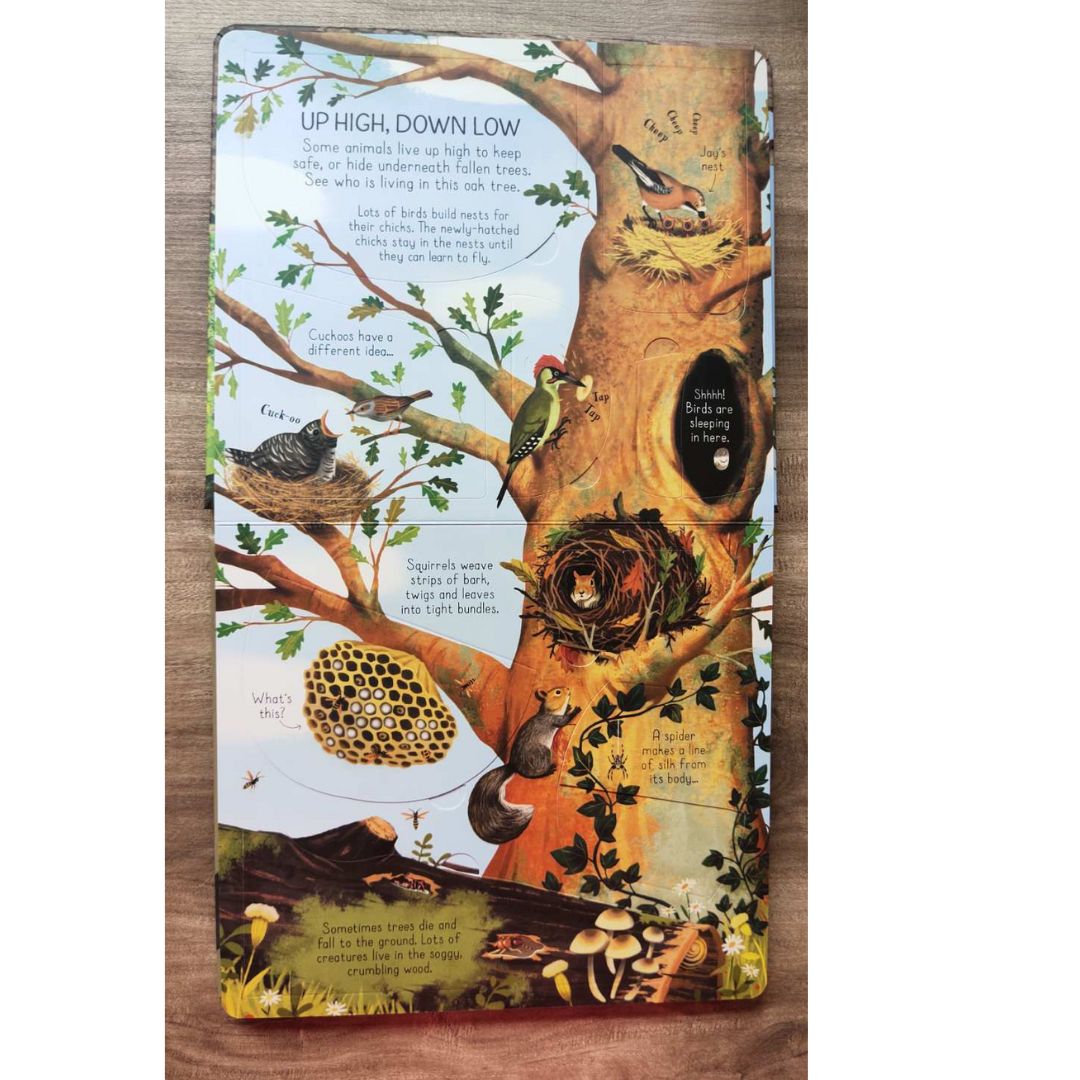 Usborne Look Inside: Animal Homes (Board Book) by Emily Bone
