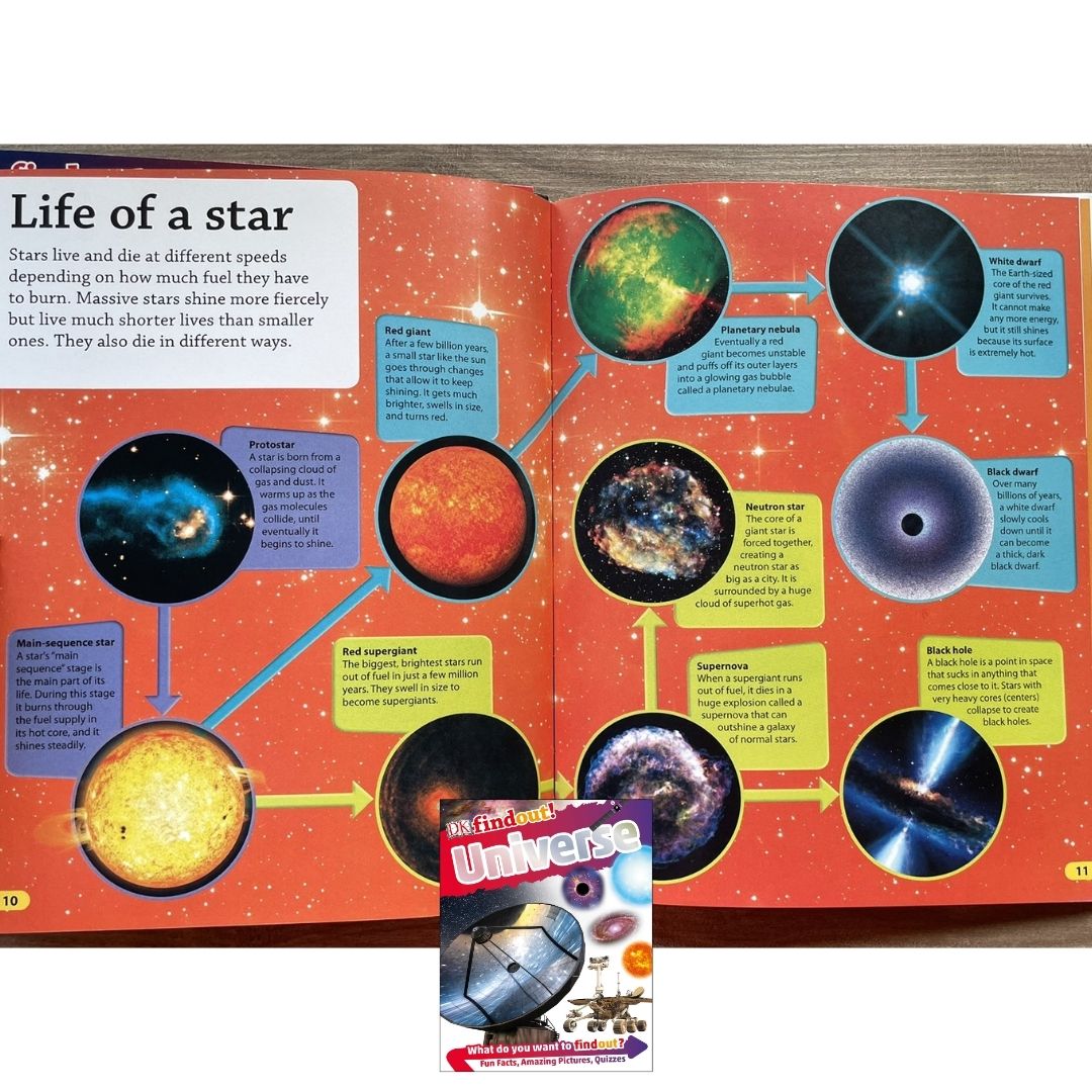 DK Findout! (SINGLES) Ancient Egypt Animals Big Cats Birds Castles Coding Energy Engineering Pirates Science Space Travel Universe Vikings Volcanoes