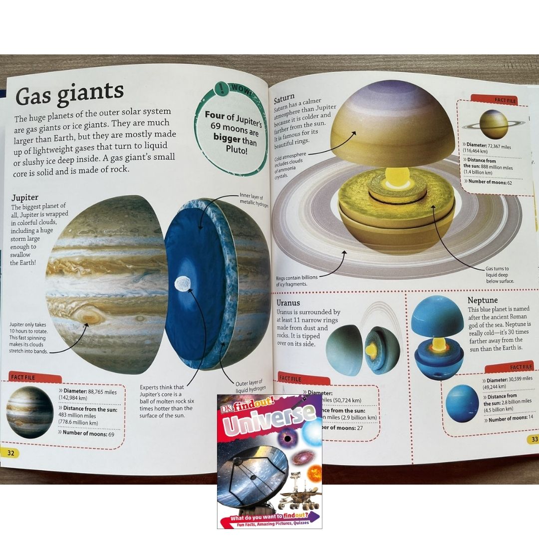 DK Findout! (SINGLES) Ancient Egypt Animals Big Cats Birds Castles Coding Energy Engineering Pirates Science Space Travel Universe Vikings Volcanoes
