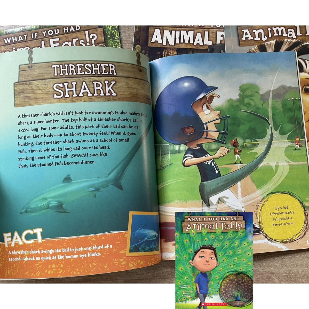 The Ultimate What If You Had… Series (9 books) brand new softcover, no box