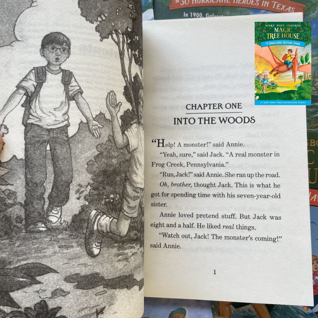 Magic Tree House: A Library Of Books 40 BOOKS Box Set (39 chapter books + 1 workbook) BOX with SLIGHT TEAR and DENTS